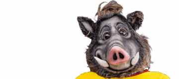 635x807_vereinskassa_visual-transparent