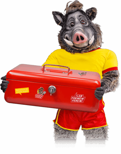 635x807_vereinskassa_visual-transparent